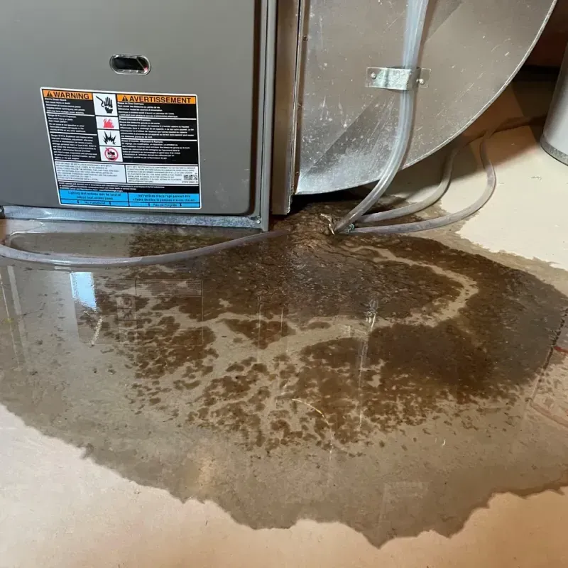 Appliance Leak Cleanup in McDuffie County, GA